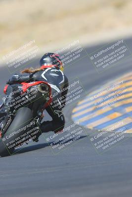 media/May-13-2023-SoCal Trackdays (Sat) [[8a473a8fd1]]/Turn 11 Backside (945am)/